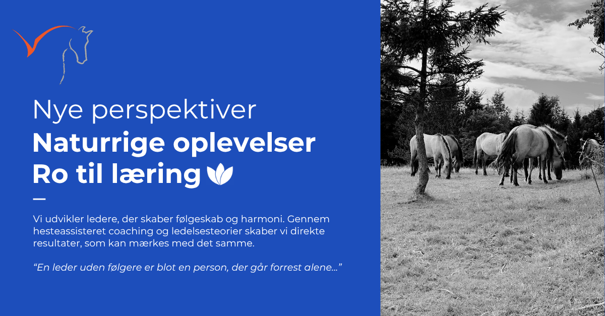 Vi udvikler ledere, der skaber følgerskab, harmoni og resultater. 